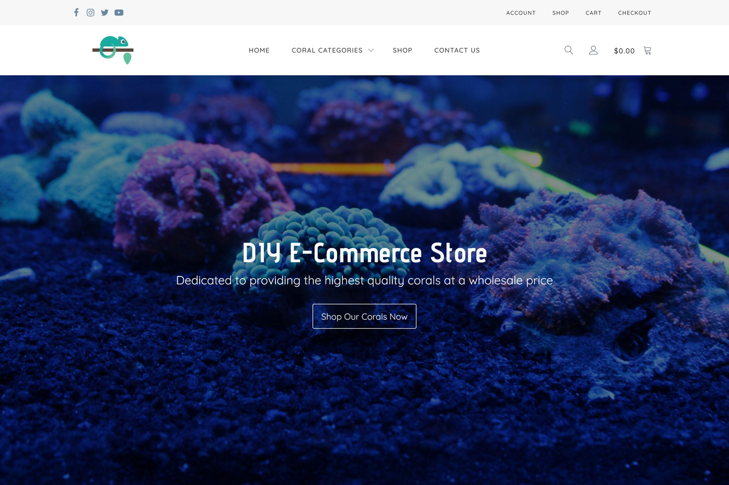 DIY E-Commerce Website