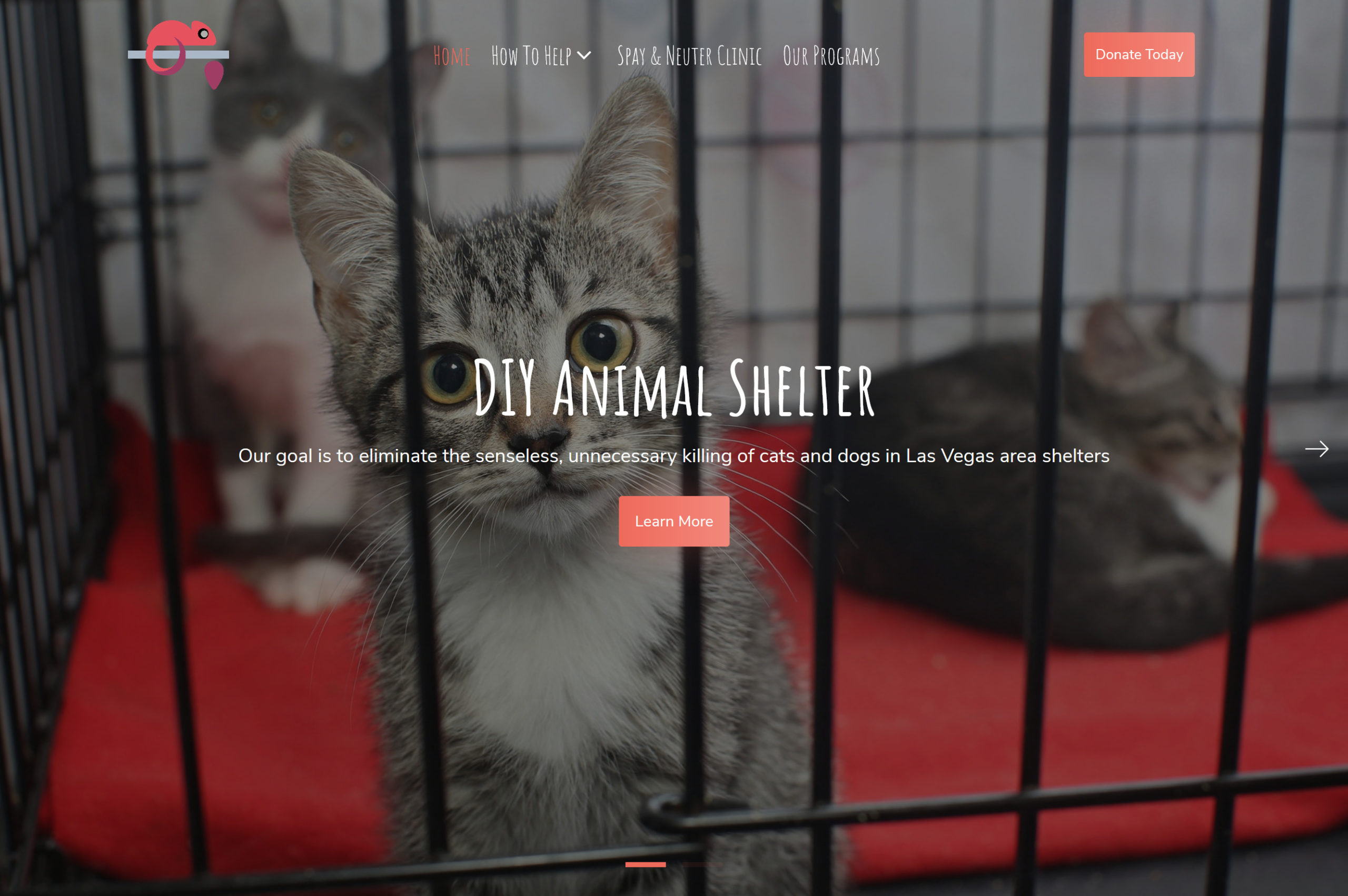 DIY Animal Shelter Website